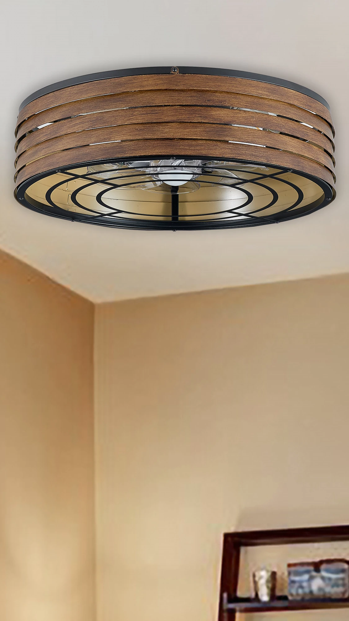 F251 Round Caged Fan Light, 20" · Wood Grain